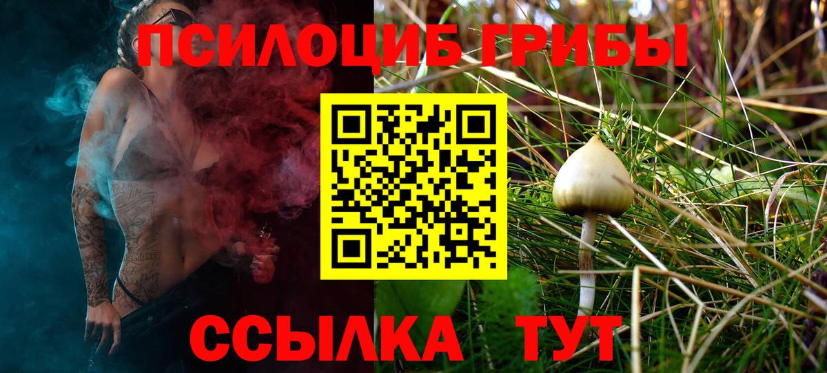 Галлюциногенные грибы Psilocybine cubensis Туапсе