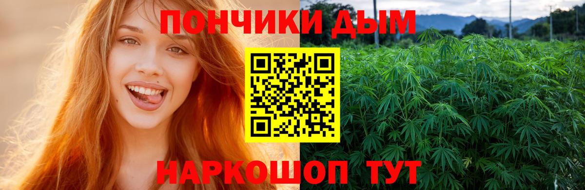 Бошки марихуана сатива Туапсе